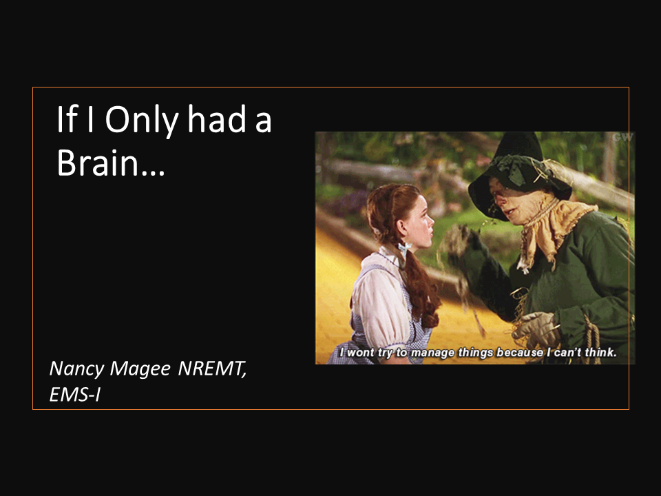 If I Only Had a Brain