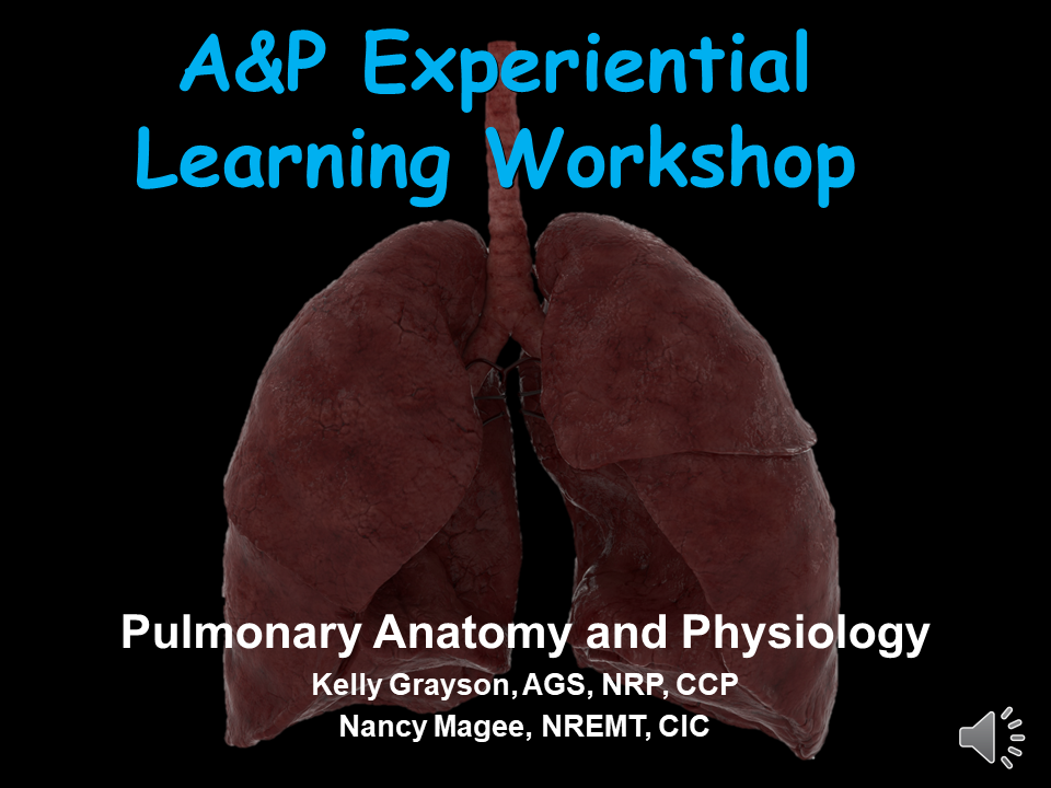 Pulmonary Anatomy and Physiology