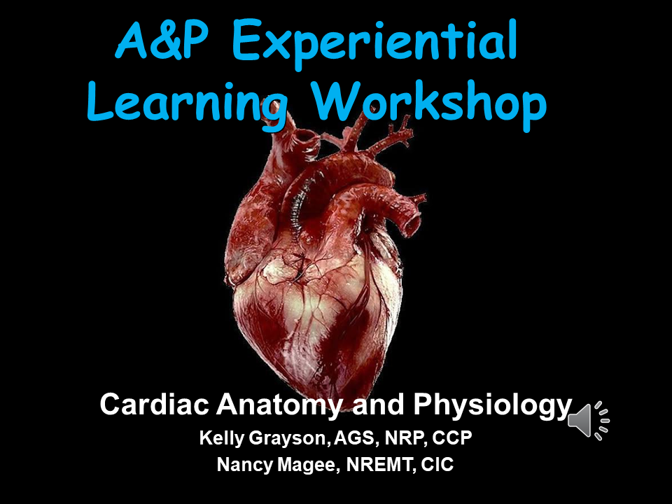 Cardiac Anatomy and Physiology