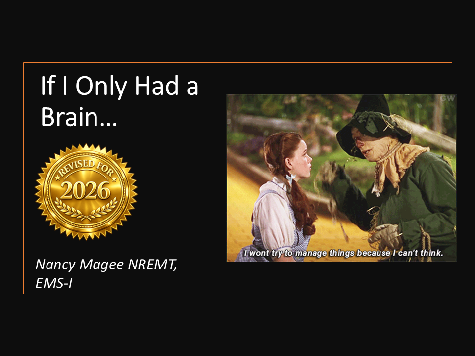 If I Only Had a Brain