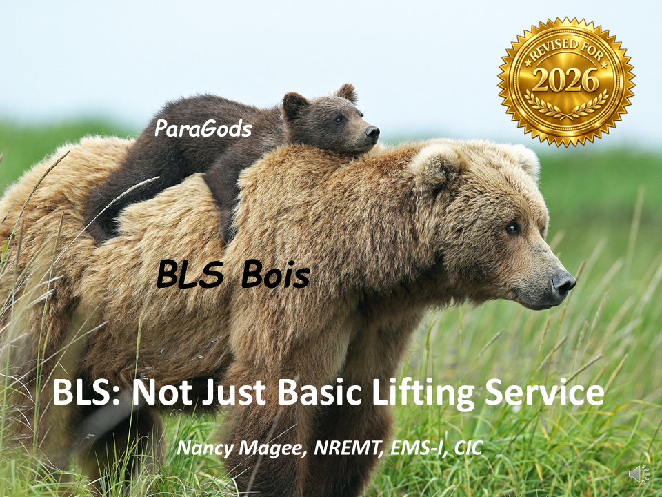 BLS: NOT Just Basic Lifting Service!