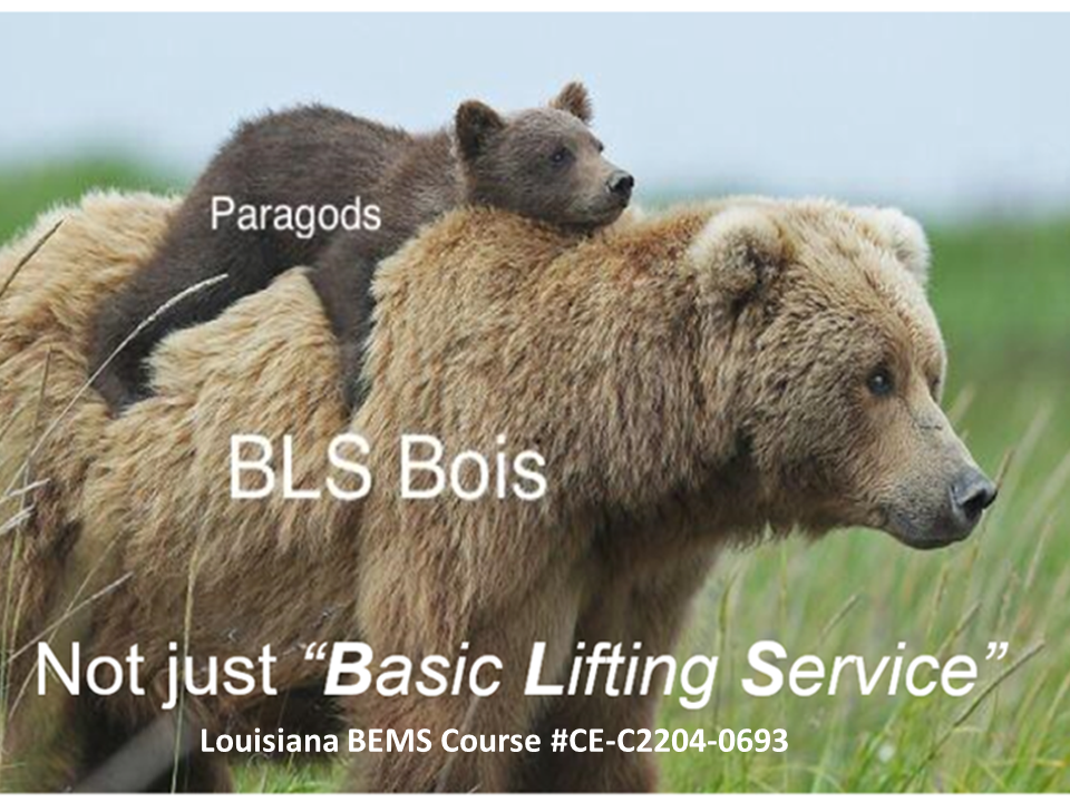 BLS: NOT Just Basic Lifting Service